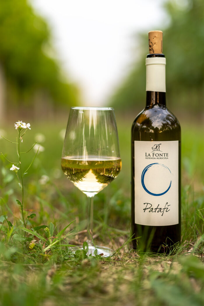 Patafì – Umbria Bianco IGT - immagine 2