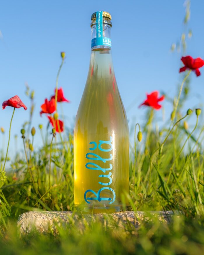 BULLĀ – vino bianco frizzante IGT - immagine 3
