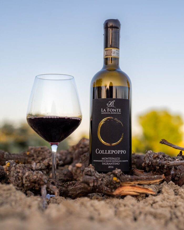 COLLEPOPPO - Montefalco Sagrantino DOCG 2019 - immagine 2