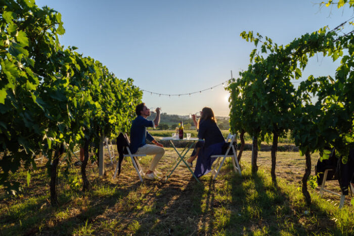 Degustazione al tramonto tra i filari della vigna - immagine 2