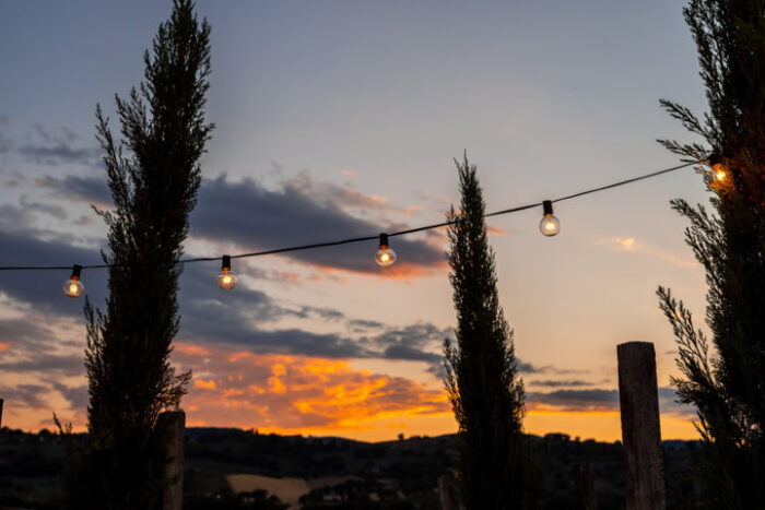 Degustazione al tramonto tra i filari della vigna - immagine 3