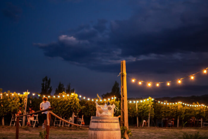 Degustazione al tramonto tra i filari della vigna - immagine 8
