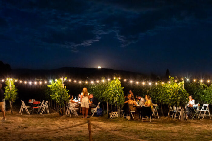 Degustazione al tramonto tra i filari della vigna - immagine 7