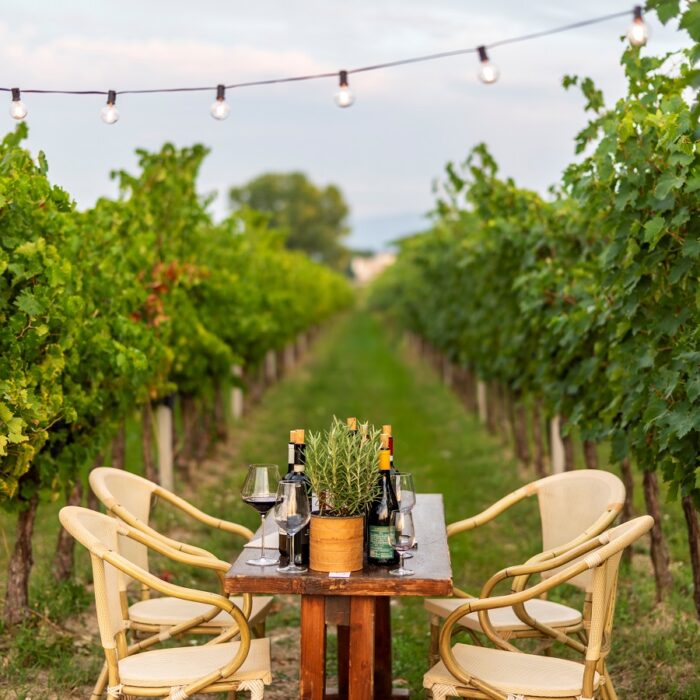 Degustazione al tramonto tra i filari della vigna